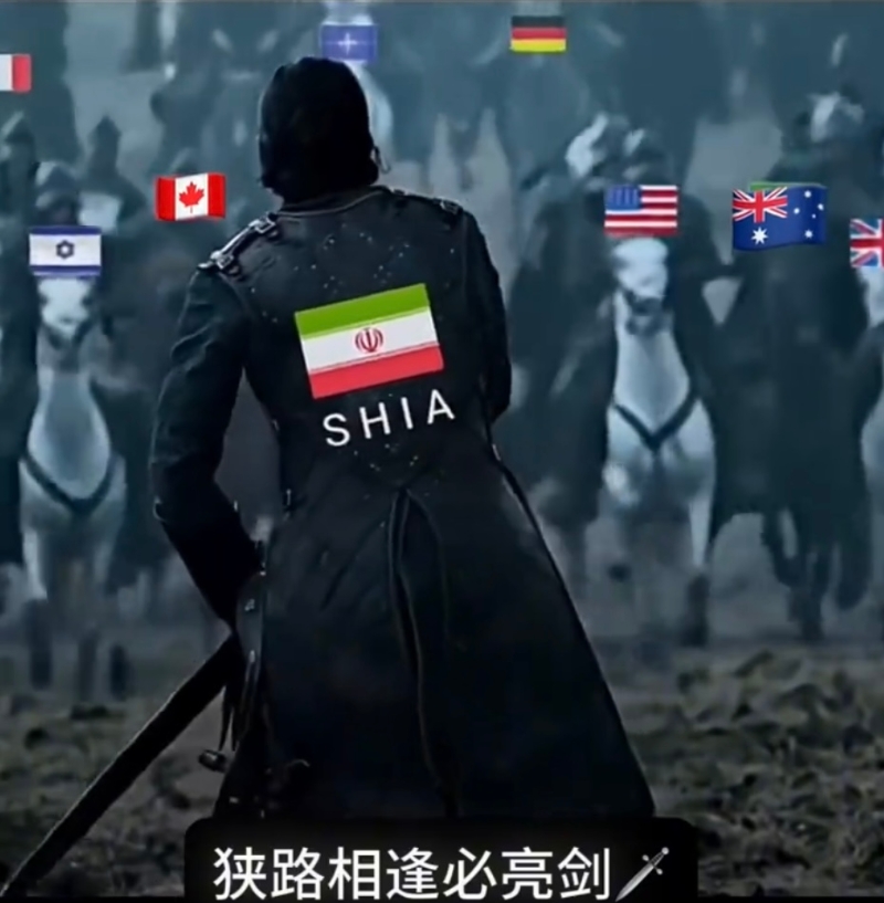 “敌人”是以英澳美加法德等国。