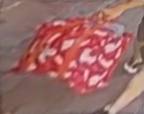 一名身穿灰衣、黑短裤的男子，持多袋物品出没长沙湾街头。 CCTV截图