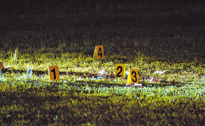 事发在布朗克斯的星光公园，警方目前仍在调查。纽约时报