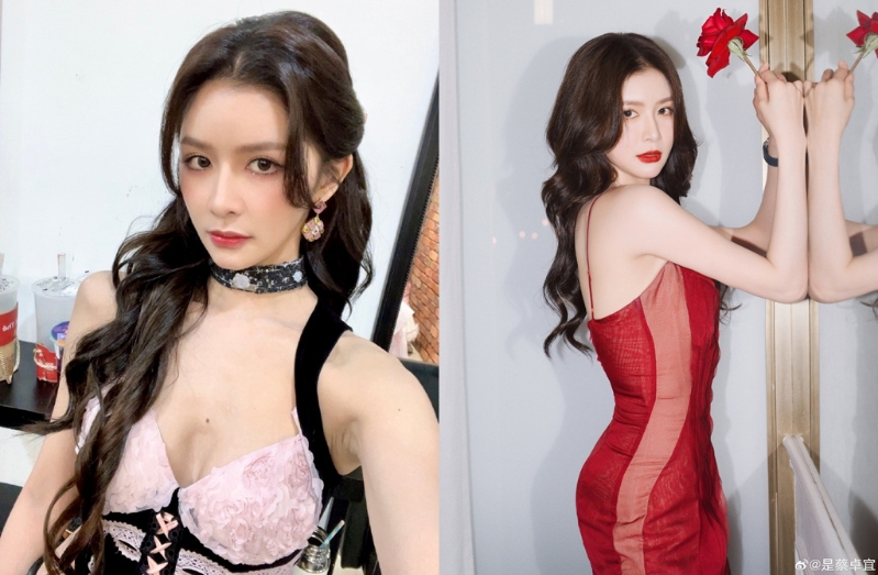 蔡卓宜先前与王大陆交往。