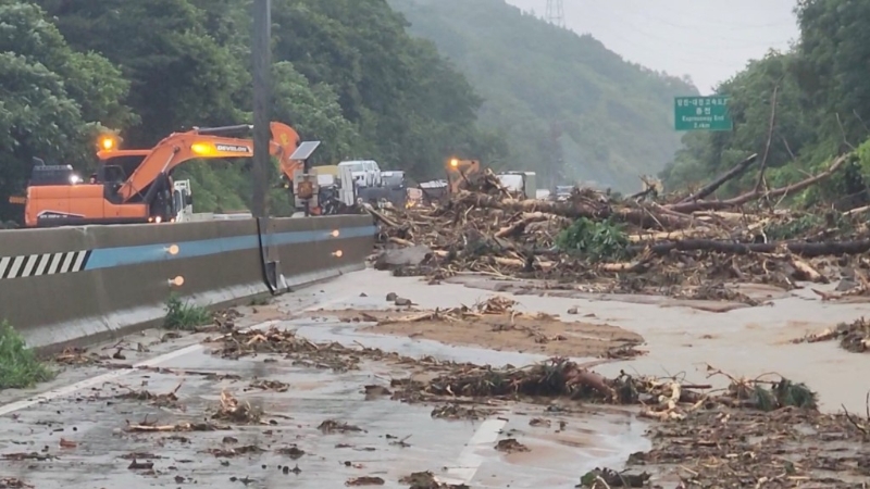 韩国暴雨,救灾人员用起重机搬走阻塞公路的塌树。 韩国暴雨,救灾人员用起重机搬走阻塞公路的塌树。