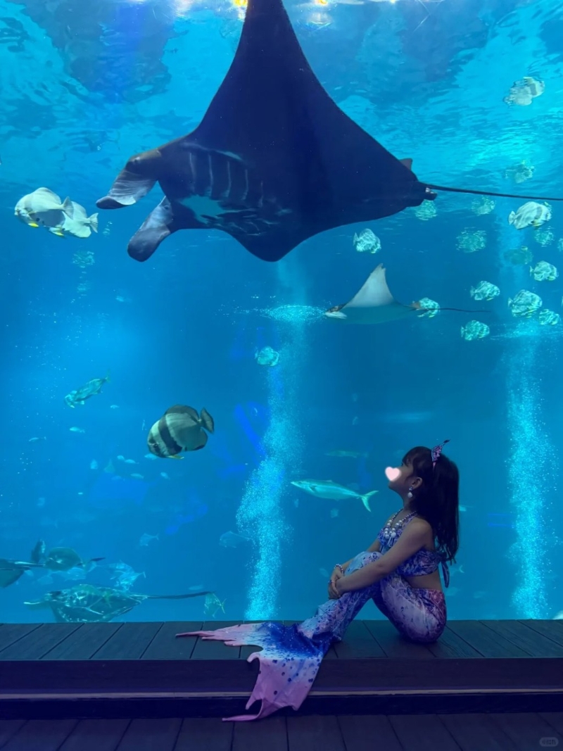 林峯囡囡扮美人鱼。