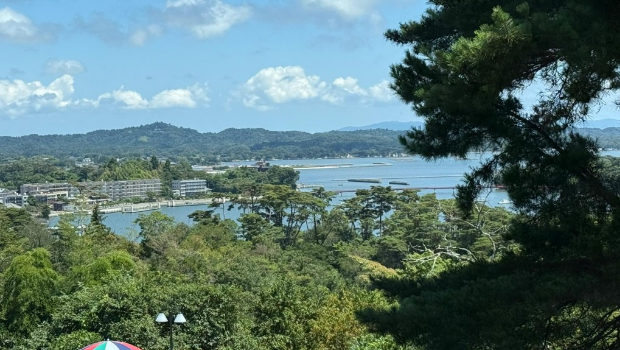 东北旅游团在酒店范围内拍摄对出的照片。