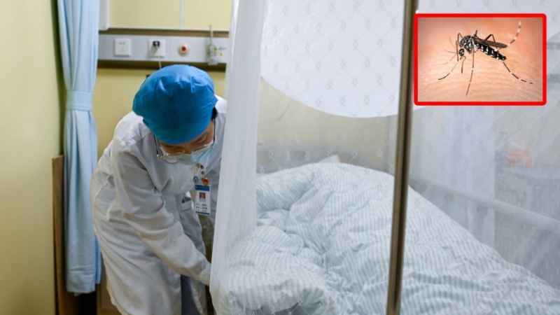 有专家提醒，基孔肯尼亚热患者出现的关节痛，多数在手腕及足踝。