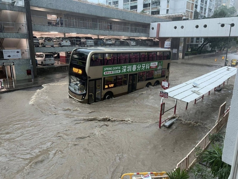 527766331_1204599775015047_588180225093351867_n 527766331_1204599775015047_588180225093351867_n