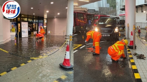 黑雨·公共服务及交通消息 黑雨·公共服务及交通消息