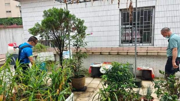 佛山全市大力灭蚊，有机构因清理积水不力被行政处罚。