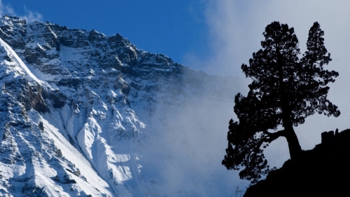 尼泊尔西北97座山免攀登费