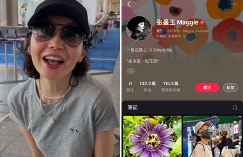 张曼玉1 张曼玉1