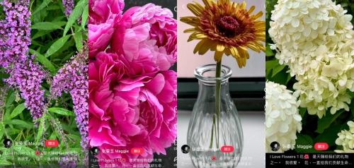 张曼玉2 张曼玉2