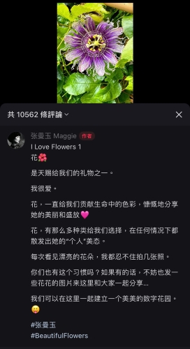 张曼玉3 张曼玉3