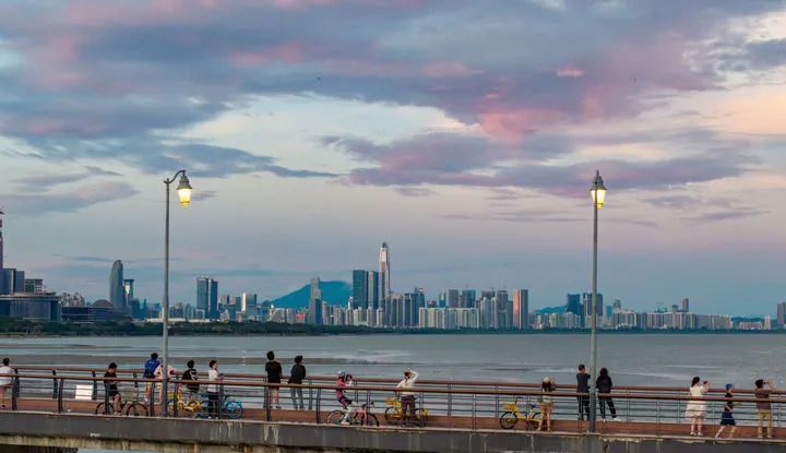 市民和游客在深圳湾公园游玩 市民和游客在深圳湾公园游玩