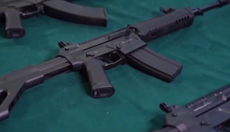 191式自动步枪。