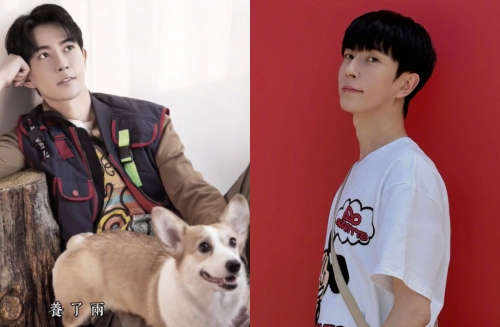 于朦胧离世留下2爱犬,未来去向引关注 于朦胧离世留下2爱犬,未来去向引关注