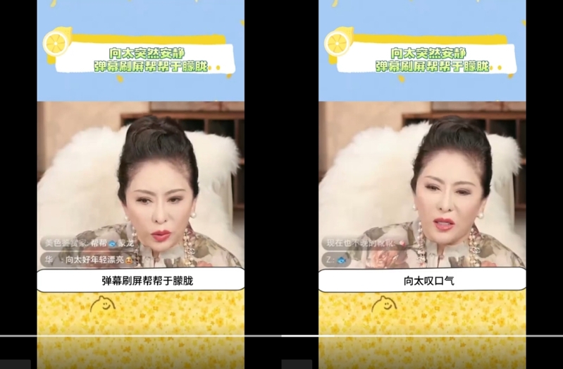 向太直播被问于朦胧事件