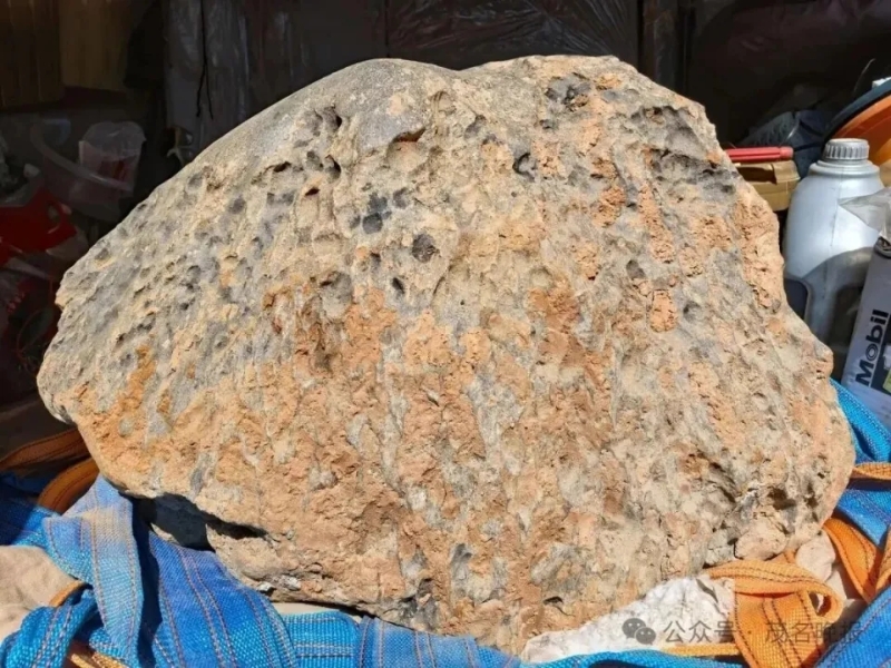陨石猎人步凡团队在茂名挖出陨石,重423公斤。 陨石猎人步凡团队在茂名挖出陨石,重423公斤。