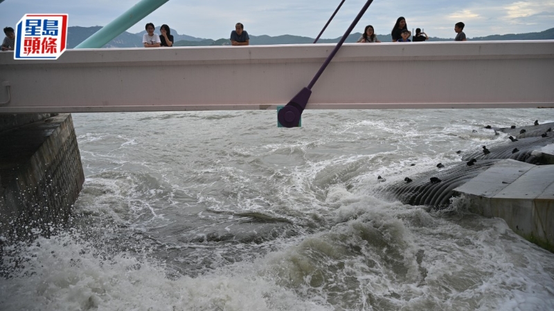 港府暂接169宗塌树