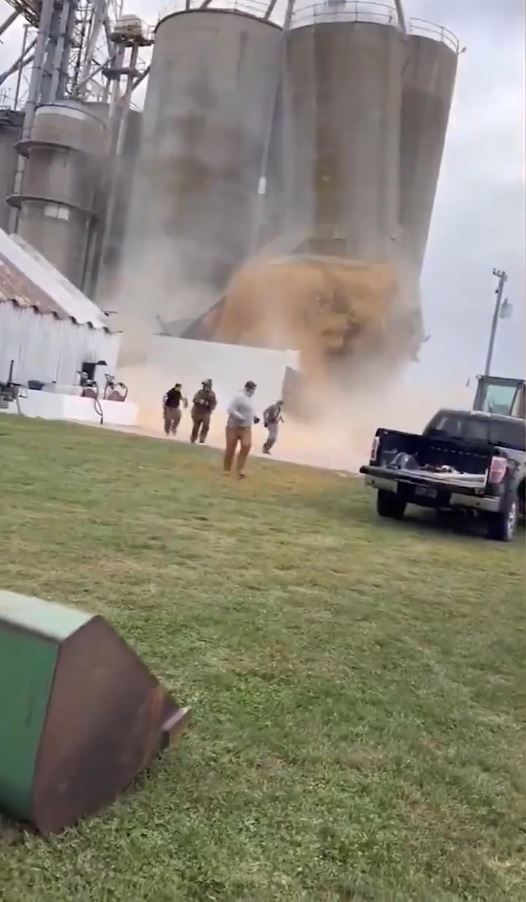 大豆滞销 大豆滞销