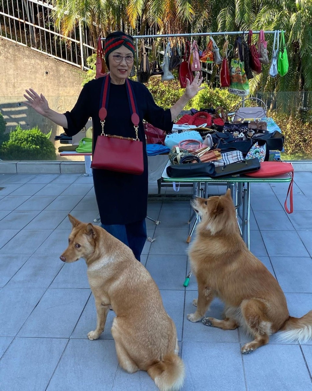 冯淬帆曾与汪明荃有过一段情! 冯淬帆曾与汪明荃有过一段情!