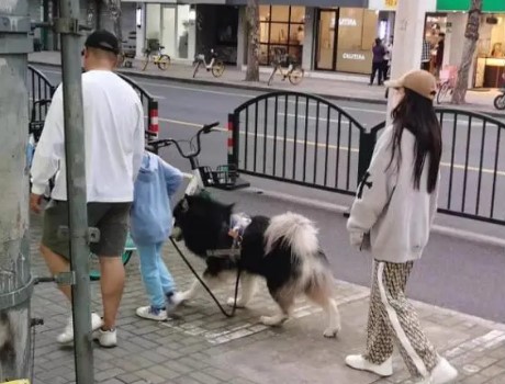 有内地网民近日于上海偶遇Angelababy,同行男子被怀疑是其新欢。 有内地网民近日于上海偶遇Angelababy,同行男子被怀疑是其新欢。