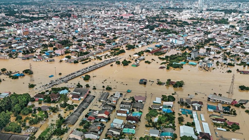 New_Project_-_2025-11-27T090631_376