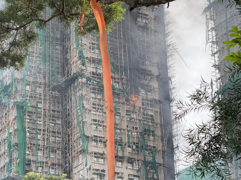 宏仁阁重新出现火势。