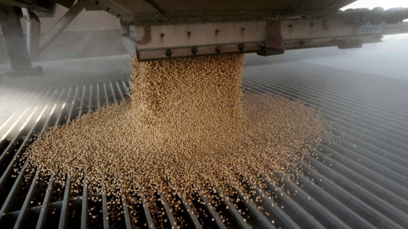 中国进口商预订大批美国大豆。