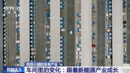 点亮“锂”想之光，这座西部小城与新能源产业共同成长