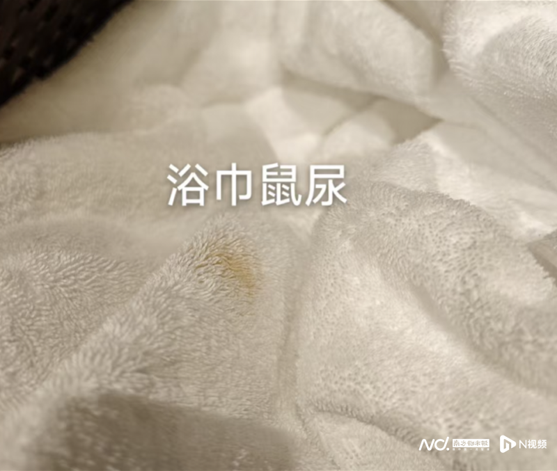 800x677_693a80edcfc1b.png?X-Amz-Content-