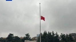 侵华日军南京大屠杀遇难同胞纪念馆举行升国旗和下半旗仪式