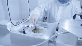 试验成功！中国脑机接口领域取得新突破