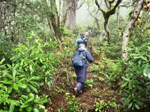 南方电网2025年全社会用电量首破1.7万亿度