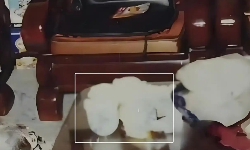 命案现场无财物丢失或性侵迹象，仅有待客茶水显示凶手为熟人。