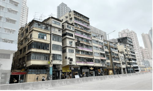 项目内大部分楼宇的楼龄已近60，甚至有高达70年的楼宇及一幢战前建筑。