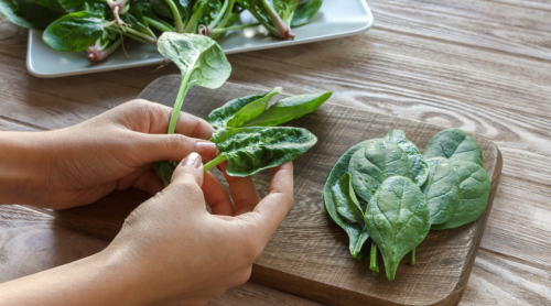 ScreenShot_2026-01-29_102050_450