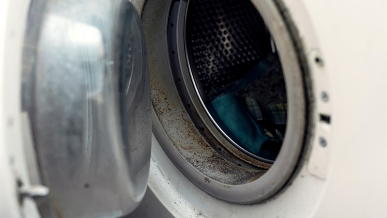 iStock-2196582778 iStock-2196582778