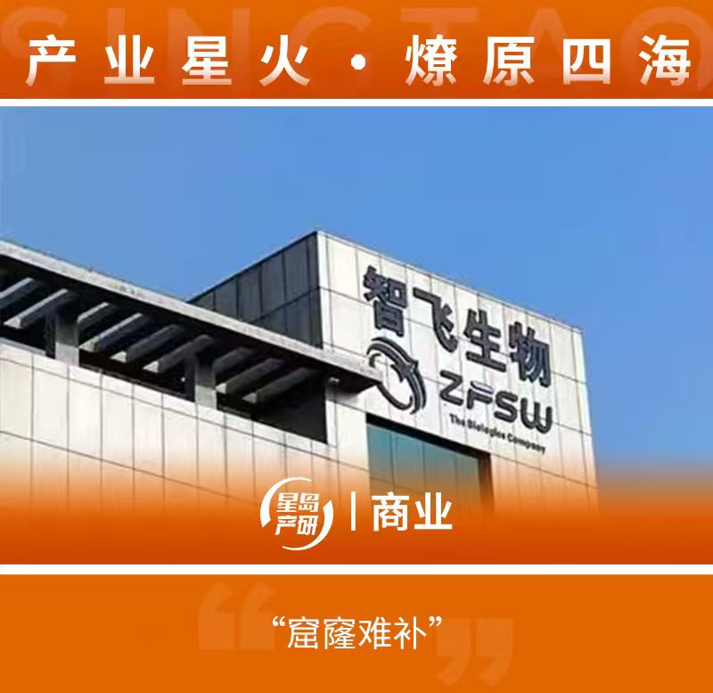 微信图片_20260204195552_1408