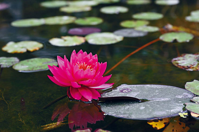 凭佛心书写ESG古剎新篇章3