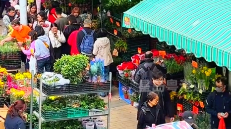 香港年味最浓的地方，摊档大秀“马”字谐音梗，市民问AI买花：八字宜配水仙