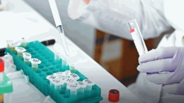 长江生命科技成立科学顾问委员会，高永文任主席