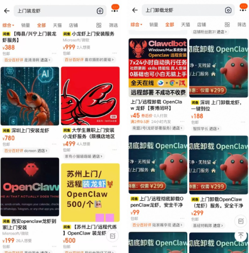 养了不到一周的龙虾2