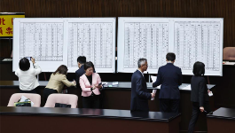 蓝白封杀中选会绿推人选大法官恐再重演，林浊水揭解套方案