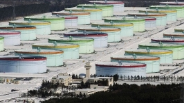 日本政府计划5月派团访问俄罗斯，或讨论从俄进口原油，俄方此前称不会向日本供应石油