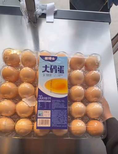 肉蛋堡1
