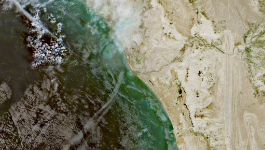 和伊朗停火若破局，美密谋攻打霍尔莫兹海峡有3大方案