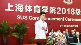 孙杨向公安机关报案