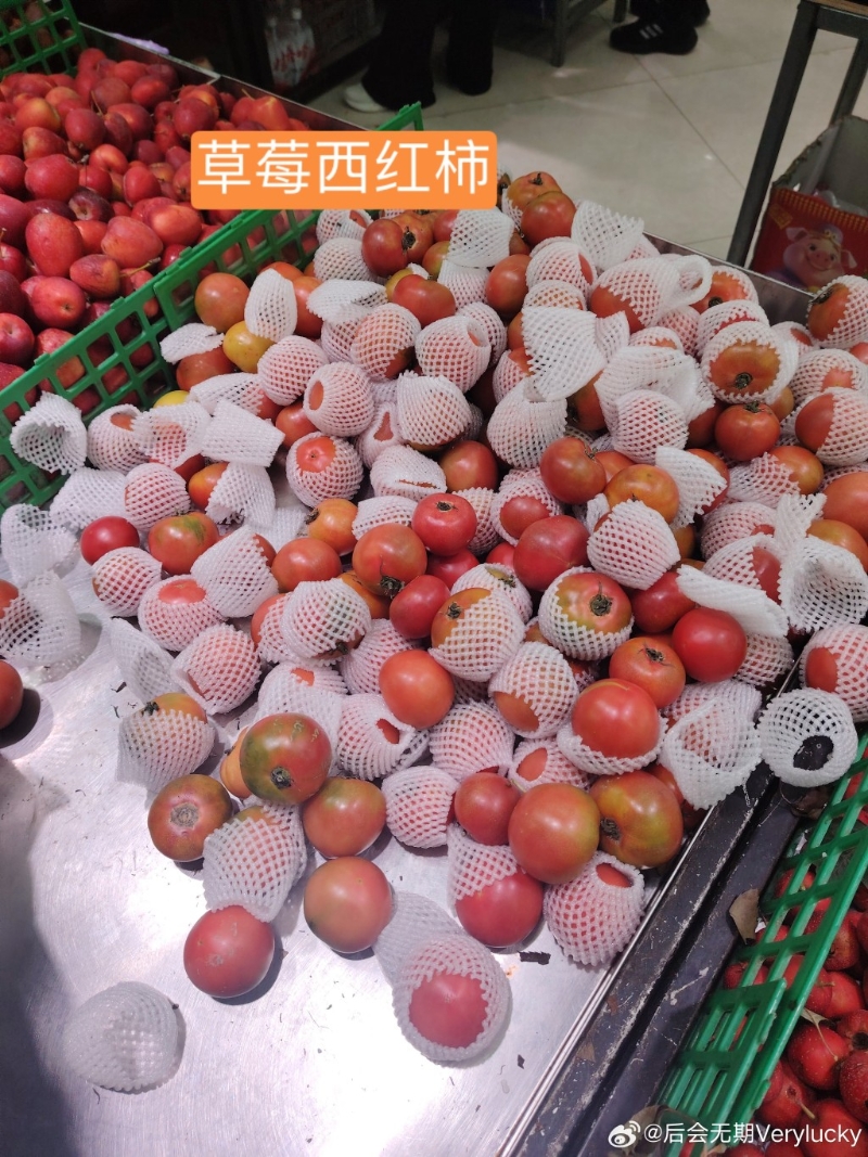 草莓西红杮 草莓西红杮