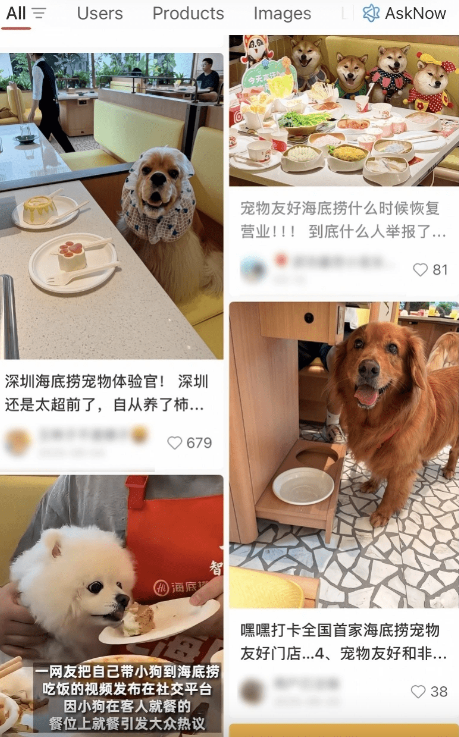 在社交平台上,海底捞的宠物友好餐厅确实引发了一些讨论。 在社交平台上,海底捞的宠物友好餐厅确实引发了一些讨论。