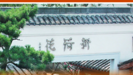 “三费”激增，现金“库存不足”，中药老兵江云与新荷花的15年IPO路