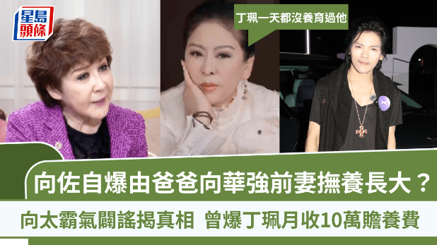 向佐自爆由爸爸向华强前妻抚养长大？向太霸气辟谣揭真相：丁珮一天都没养育过他